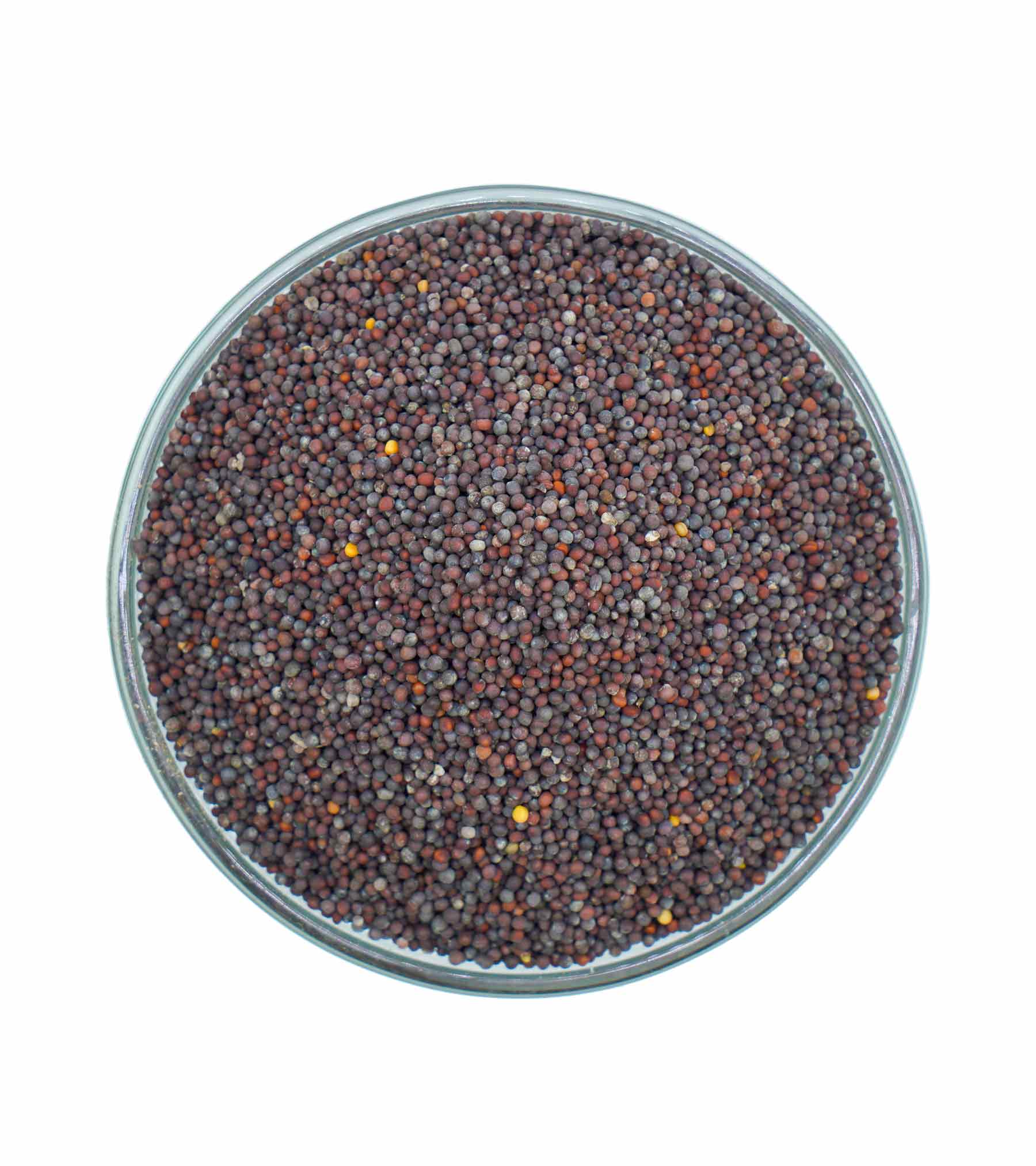 Mustard seeds Mustard seeds