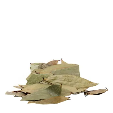 Tejpata Tejpata (তেজপাতা) - Image 1